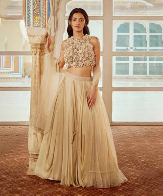 Beige Embroidery  Viscose Organza Lehenga Set 1
