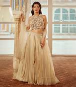 Beige Embroidery  Viscose Organza Lehenga Set