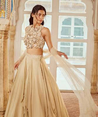 Beige Embroidery  Viscose Organza Lehenga Set 2