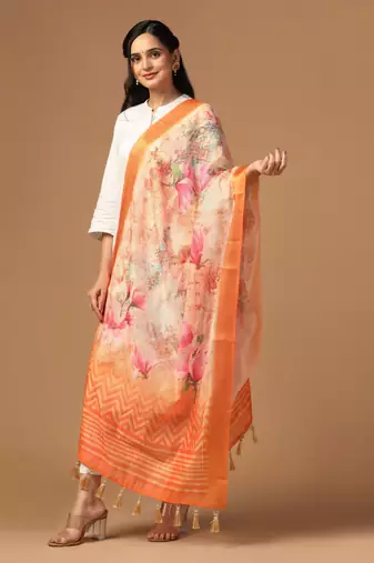 Digital print chanderi zari embroadery zahal work dupatta for women and girls to wear on gown chaniya choli kurti etc