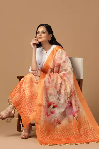 Digital print chanderi zari embroadery zahal work dupatta for women and girls to wear on gown chaniya choli kurti etc
