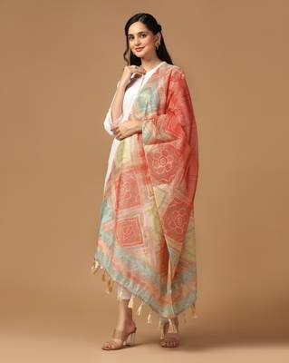Digital print chanderi zari embroadery zahal work dupatta for women and girls to wear on gown chaniya choli kurti etc 2
