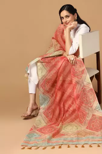 Digital print chanderi zari embroadery zahal work dupatta for women and girls to wear on gown chaniya choli kurti etc