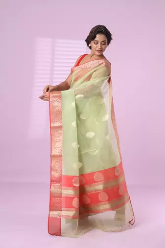 Green organza saree with zari weave border