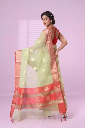 Green organza saree with zari weave border