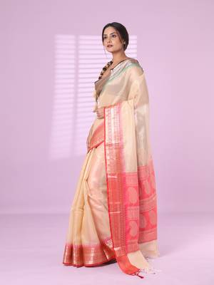 Beige tissue checkbox pattern saree with ganga jamuna zari border 2