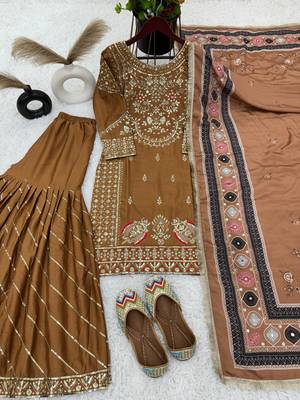 Brown Stitched Salwar Suit with Chiffon Embroidery 3
