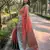 Peach Tissue Silk Woven Graceful Girlie Partywear Traditional Saree For Festive Season