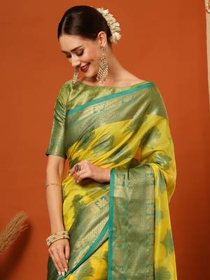 Light Green Jaccaurd Oraganza Silk Bollywood  Saree With Blouse 1