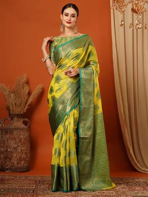Light Green Jaccaurd Oraganza Silk Bollywood  Saree With Blouse 2