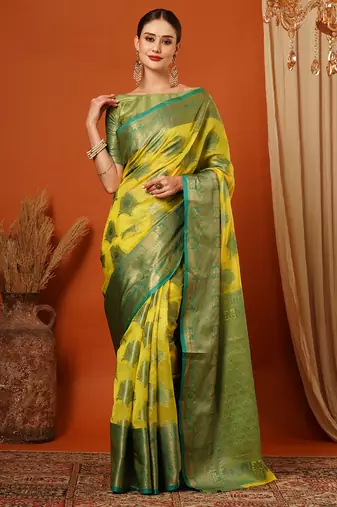 Light Green Jaccaurd Oraganza Silk Bollywood  Saree With Blouse