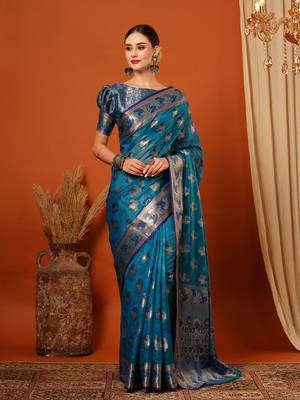 Light Blue Jaccaurd Oraganza Silk Bollywood  Saree With Blouse 2