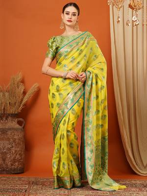 Green Jaccaurd Oraganza Silk Bollywood  Saree With Blouse 2