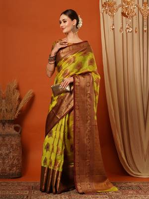Maroon Jaccaurd Oraganza Silk Bollywood  Saree With Blouse 4