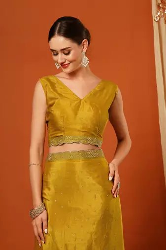 Mustard  Rangoli Silk  Bollywood  Saree With Blouse