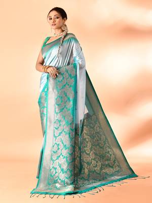 Elora pure banarasi weaving silk saree (sky blue) 3
