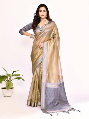 Elora plain banarasi tissue silk weaving saree (grey) 1