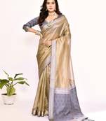 Elora plain banarasi tissue silk weaving saree (grey)
