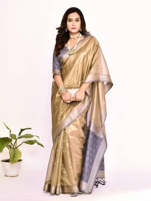 Elora plain banarasi tissue silk weaving saree (grey) 3