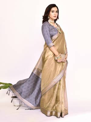Elora plain banarasi tissue silk weaving saree (grey) 4