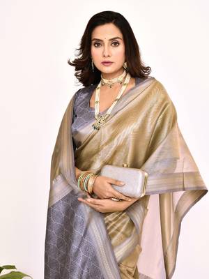 Elora plain banarasi tissue silk weaving saree (grey) 5