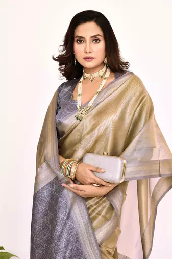Elora plain banarasi tissue silk weaving saree (grey)