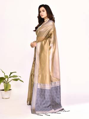 Elora plain banarasi tissue silk weaving saree (grey) 6