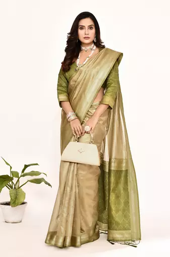 Elora plain banarasi tissue silk weaving saree (green)