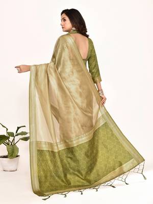 Elora plain banarasi tissue silk weaving saree (green) 6