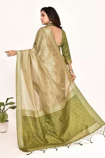 Elora plain banarasi tissue silk weaving saree (green)