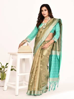 Elora plain banarasi tissue silk weaving saree (sea green) 4