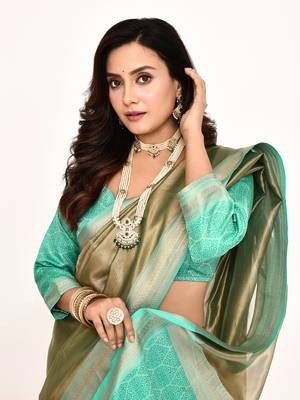 Elora plain banarasi tissue silk weaving saree (sea green) 5