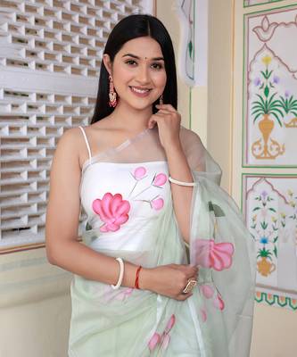 Pastel Green Hand Painted Organza Saree Without Blouse 3