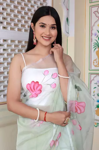 Pastel Green Hand Painted Organza Saree Without Blouse