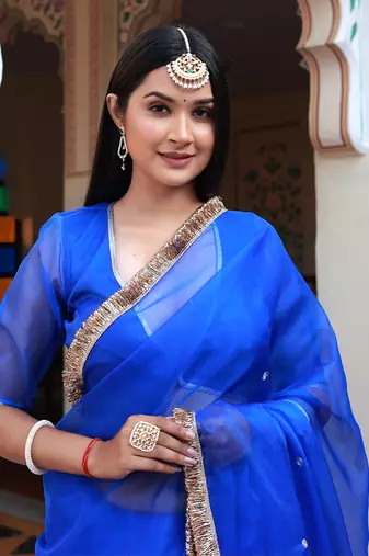 Blue aari embroidered organza saree with blouse