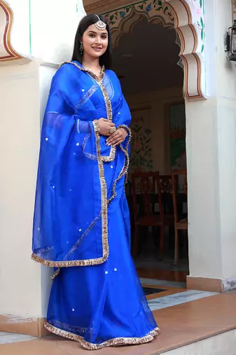 Blue aari embroidered organza saree with blouse