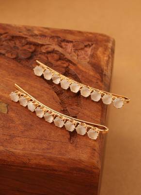 Luminous Elegance Hair Clip" 1
