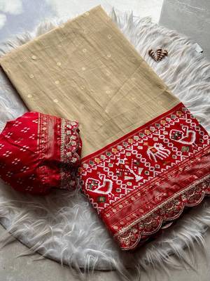 Chiku Colour Designer Ikkat Pallu Saree With Embroidered Sequence Border & Foil Butties Blouse 1