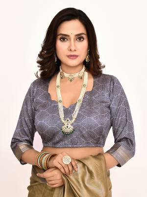 Elora plain banarasi tissue silk weaving saree (grey) 7