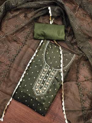 Women's green handwork and border organza jacquard dress material 4