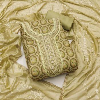 Women's olive position print embroidery viscos organza dress material 1