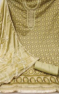 Women's olive position print embroidery viscos organza dress material 2