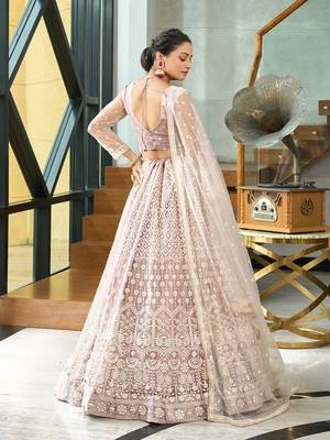 Beige Net Embroidery Work Heavy Graceful Looks Beautiful Wedding Ceremony Lehenga Choli 2