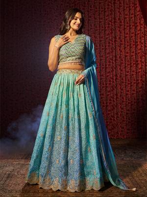 Blue Embroidered Organza Traditional Lehenga 1