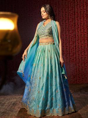 Blue Embroidered Organza Traditional Lehenga 2
