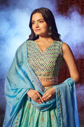 Blue Embroidered Organza Traditional Lehenga