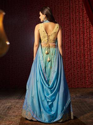 Blue Embroidered Organza Traditional Lehenga 4