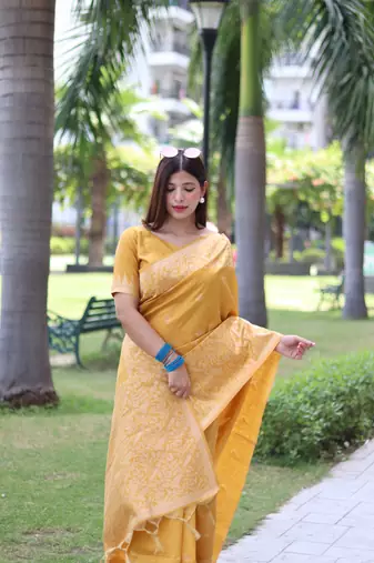 Yellow Raw Silk Designer Border & Fancy Rich Pallu With Raw Silk Blouse And Saree For Women  