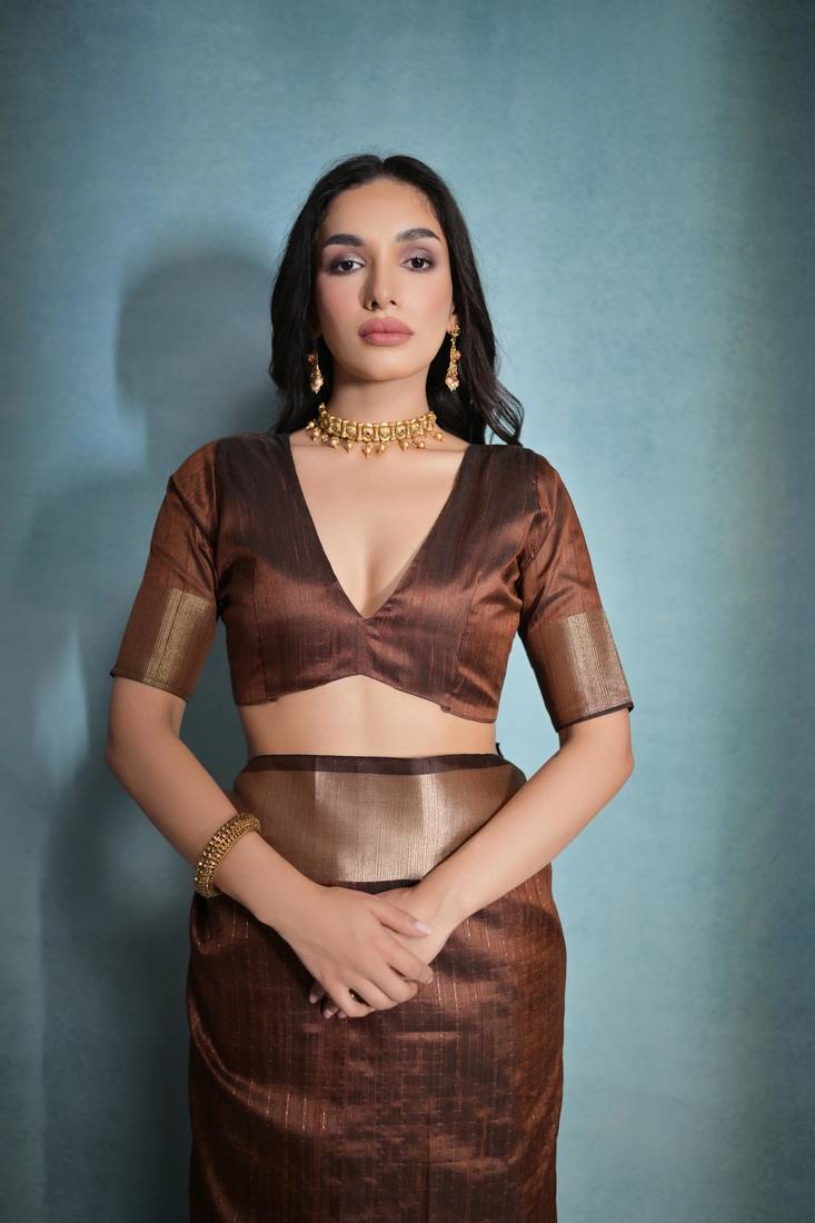 Coffee Raw Silk Contrast Border And Designer Rich Pallu Saree With Blouse For Women