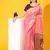 Pink Raw Silk Designer Border & Fancy Rich Pallu With Raw Silk Blouse And Saree For Women  